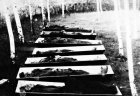 Těla obětí letovického masakru po exhumaci. Foto OV ČSBS Boskovice