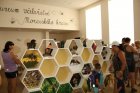 Muzeum včelařství. Foto Radim Hruška