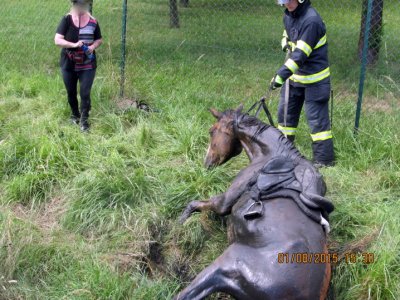 Perná sobota: Hasiči tahali koně z bahna a likvidovali požáry
