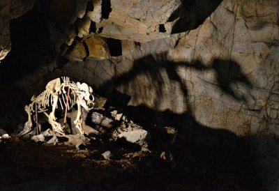 Některé jeskyně v Moravském krasu na pár měsíců zavírají
