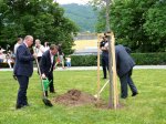 V Blansku oslavili výročí a zasadili strom slovinsko-českého přátelství
