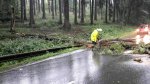 Úterní déšť: Hasiči čerpali vodu a likvidovali popadané stromy