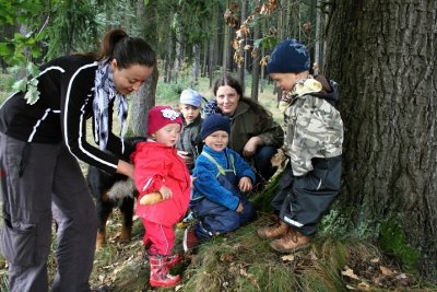V Ostrově u Macochy v září otevřou novou lesní mateřskou školu