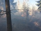 Požár lesa u Vilémovic. Foto HZS JmK