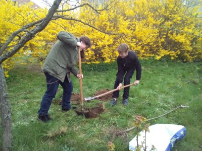 Školáci z Lipovce se zapojili do projektu Milion ovocných stromů