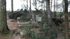 Popadané stromy na olomučanském hřbitově. Foto SDH Olomučany
