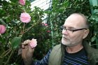O kamélie léta pečuje zahradník Evžen Kopecký. Foto Martin Jelínek