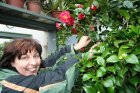 Zahradnice Veronika Hájková s novou odrůdou kamélií nazvanou Verunka, která je pojmenována po ní. Foto Martin Jelínek