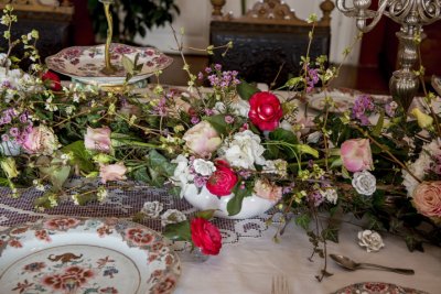 V Rájci nad Svitavou vystavují kamélie s vzácným porcelánem