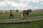 Závody tažných koní v Petrovicích. Foto Martin Jelínek