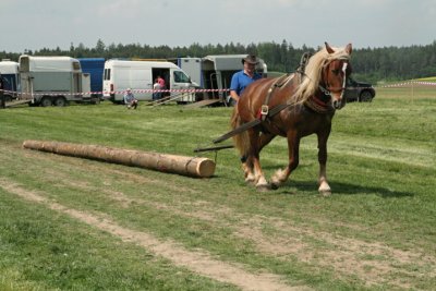 V Petrovicích již posedmé závodili vozkové s tažnými koňmi