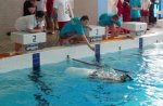 Blanenská dvěstěpadesátka: plavčíci si ověřili své dovednosti
