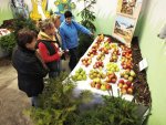Fotoreportáž: Regionální výstava ovoce v boskovické Šmelcovně