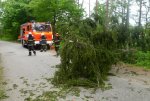 Hasiči odstraňovali popadané stromy, v Letovicích odstřihli uvolněnou anténu