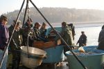 Jedovničtí rybáři zvou na tradiční výlov Olšovce