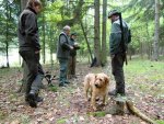 Lovečtí psi v Černé Hoře ukázali své schopnosti dohledávat zvěř