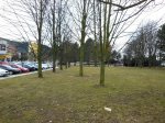 V Boskovicích chystají úpravy parku u autobusového nádraží