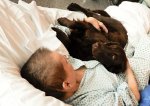 V blanenské nemocnici pomáhají pacientům také psi
