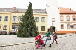 Začátek adventu ve městech a obcích rozzáří Vánoční stromy