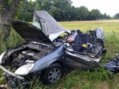 Řidič zemřel po nárazu do stromu u Drnovic