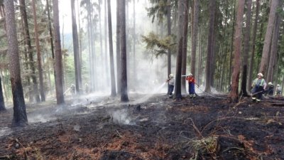 Zrcadlo týdne: referendum o Dukle, požár lesa a autobus pro Lhotku